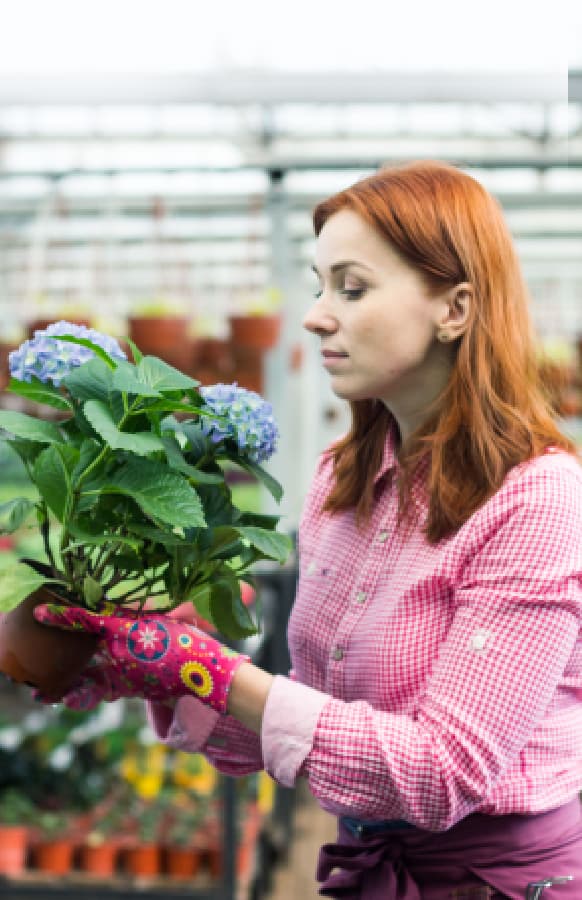 Garden Retail Service project